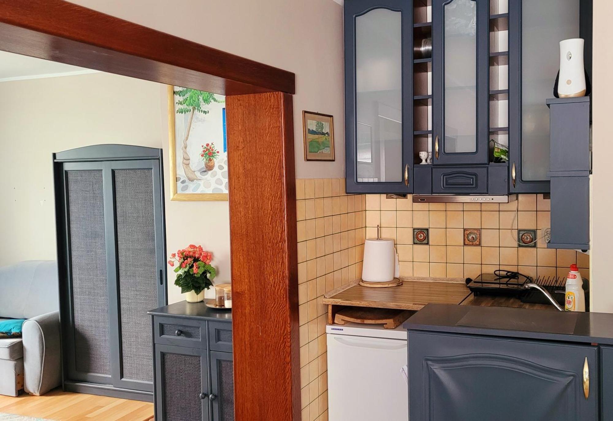 Apartament Brzoza Bydgoska Dış mekan fotoğraf
